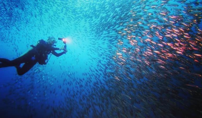Love'S Beach & Dive Resort 몰볼 외부 사진