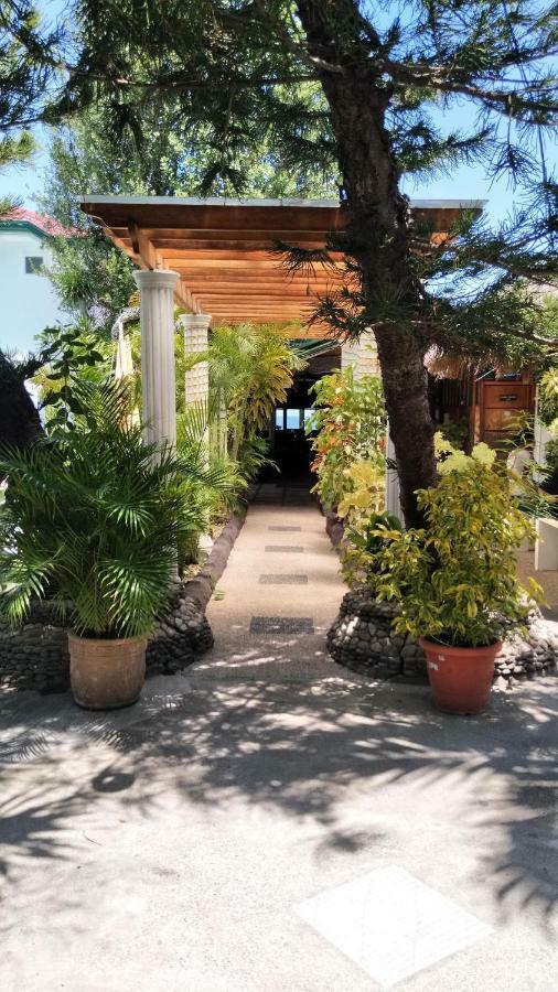 Love'S Beach & Dive Resort 몰볼 외부 사진
